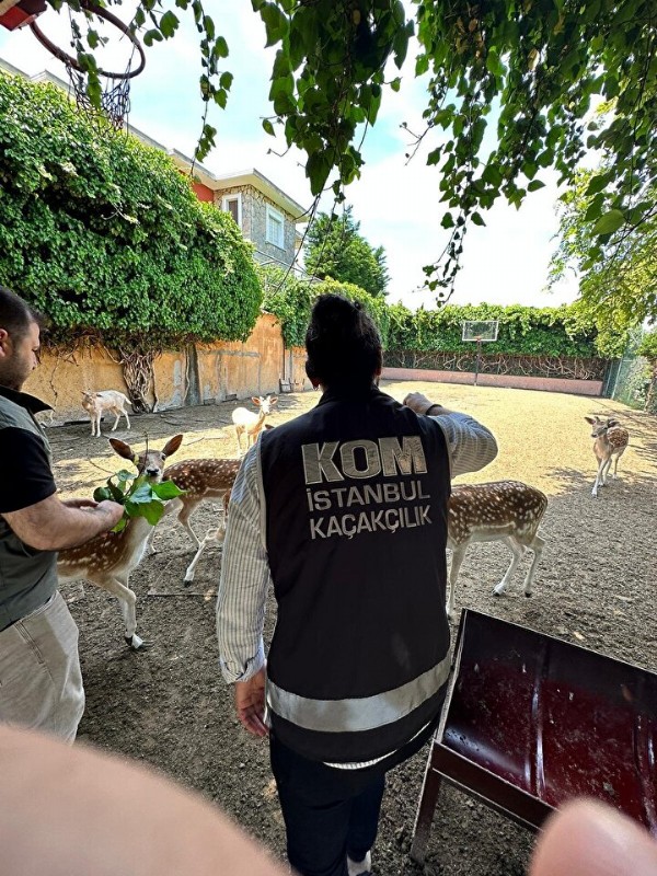 Villadan çıkanlar 'pes' dedirtti: Kimsenin aklına gelmezdi görenler şaşkına döndü