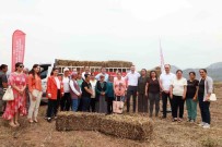 90 Kadin Üreticiye 2 Bin Saman Balyasi Dagitildi