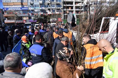 Isparta Belediyesi Cuma Günü 10 Bin Adet Armut Fidanini Ücretsiz Dagitacak