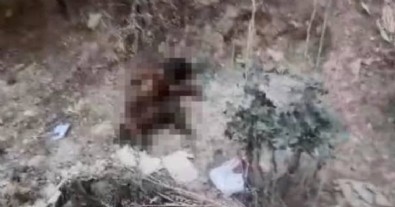 Bursa’da hayvan vahşeti! Yavru köpeğin ayaklarını kesip yaktılar