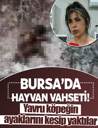 Bursa’da hayvan vahşeti! Yavru köpeğin ayaklarını kesip yaktılar