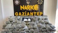 Gaziantep'te 80 Kilo Skunk Ele Geçirildi