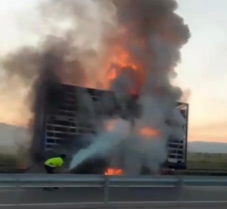 Tavuk Yüklü Dorse Yandi Açiklamasi 1500 Tavuk Telef Oldu