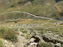 Yüksekova'nin En Yüksek Festivaline Türkiye Ve Dünya'dan Akin Ediyor