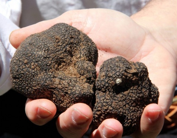 Fransa’da şiddet akılalmaz boyutta! İnsanlarla dolu bina ateşe verildi, Türk Büyükelçiliği uyardı