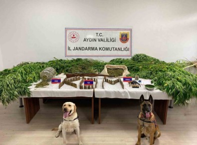 Aydin'da Son 6 Ayda 50 Ton Uyusturucu Madde Ele Geçirildi