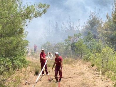 Eskisehir'de Orman Yangini
