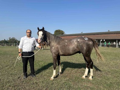 TIGEM 42 Tay Satisindan 10 Milyon Lira Gelir Elde Etti