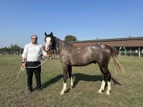 TIGEM 42 Tay Satisindan 10 Milyon Lira Gelir Elde Etti