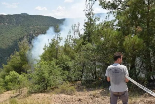 Eskişehir’de orman yangını