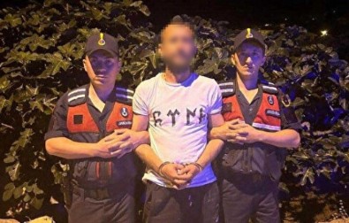 Bursa'da ormanı ateşe vermişti: İfadesi pes dedirtti