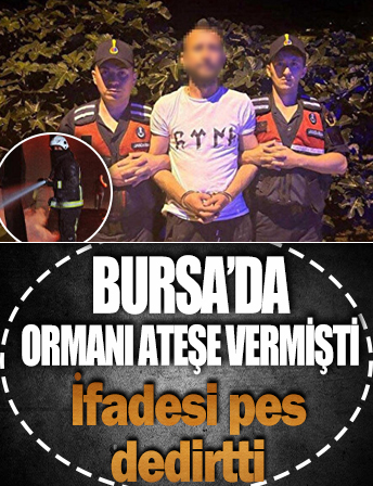 Bursa'da ormanı ateşe vermişti: İfadesi pes dedirtti