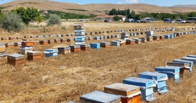 Malatya'da depremzede üreticilere 1305 arılı kovan dağıtıldı