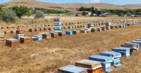 Malatya'da depremzede üreticilere 1305 arılı kovan dağıtıldı