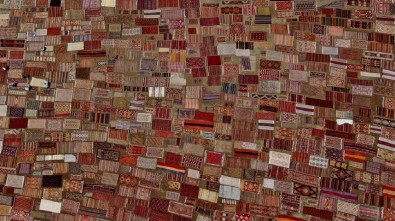 Antalya'nin Bugday Arazileri, Rengarenk Hali Tarlasina Dönüstü