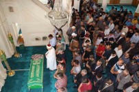 Sena Doktor Topraga Verildi