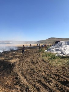 Agri'da Bir Tarla Küle Döndü