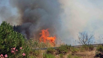 Bodrum Havalimani Kavsaginda Yangin