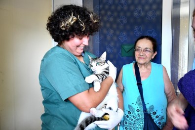 Kusadasi Belediyesi Sahipsiz Can Dostlara Kucak Açmaya Devam Ediyor