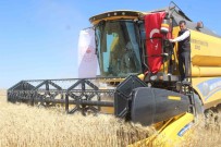 Nevsehir'de Hasat Basladi Açiklamasi Vali Biçerdöver Ile Hasat Yapti