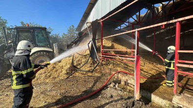 70 Büyükbas Hayvanin Bulundugu Ahirda Yangin Çikti Açiklamasi 12 Kisi Dumandan Etkilendi