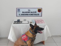Balikesir'de Jandarmadan Uyusturucu Operasyonu