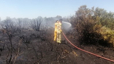 Antalya'da Çikan Orman Yangini Kontrol Altina Alindi
