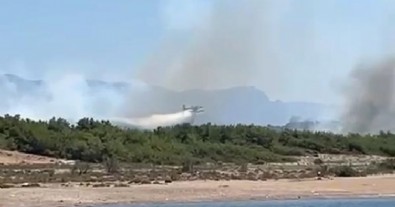 Antalya'da orman yangını çıktı