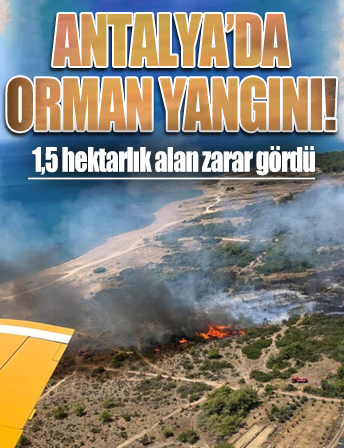 Antalya'da orman yangını çıktı