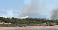 Antalya'da orman yangını çıktı