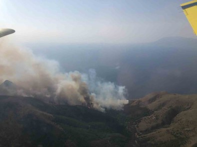 Gökçeada'daki Orman Yangini Kontrol Altina Alindi