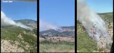 Izmir Ve Manisa'da 9 Orman Yangini Söndürüldü