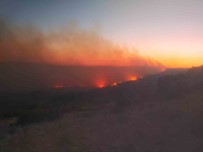 Mersin'de Orman Yangini Devam Ediyor, Iki Köyün Tedbir Amaçli Tahliyesi Planlaniyor