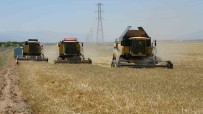 Sultansuyu'nda Hububat Hasadi Basladi