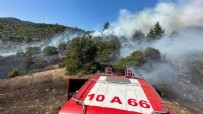 Balıkesir'deki yangında 5 hektar alan zarar gördü