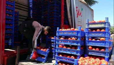 Bu köyde işsizlik derdi yok! Çevre köy ve illerden işçi kiralanıyor! Bu yıl beklenti 15 bin ton... .