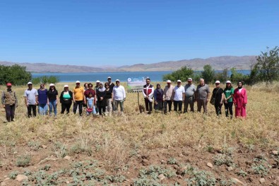 Elazig'da Kadin Çiftçiler Nohut Hasadina Basladi