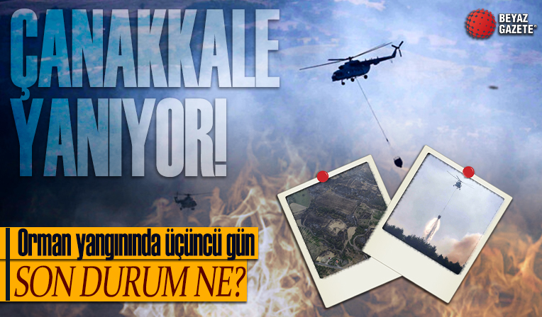 Orman yangınında 3'üncü gün! Çanakkale alev alev yanıyor