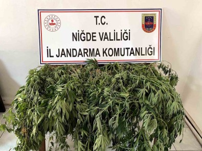 Uyusturucu Operasyonunda 2 Kisi Gözaltina Alindi