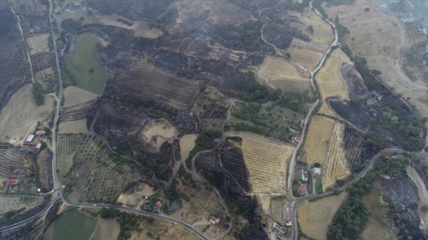 Orman yangınında 3'üncü gün! Çanakkale alev alev yanıyor