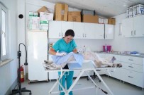 Ayvalik Belediyesi Sokaktaki Can Dostlarin Da Yaninda