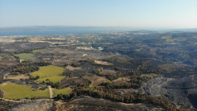 Çanakkale'de yanan alanlar havadan görüntülendi