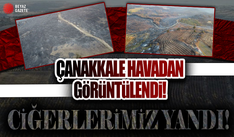 Çanakkale'de yanan alanlar havadan görüntülendi