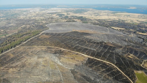 Çanakkale'de yanan alanlar havadan görüntülendi