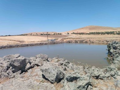 Diyarbakir'da 1 Günde 2'Si Kardes 3 Kisi Boguldu