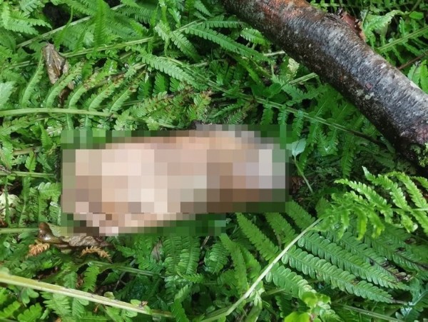 Derece kopmuş insan ayağı bulundu: Belediyenin anonsunu duyan şoke oldu!