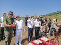 Erdek'te 350 Sülün Ve Keklik Dogayla Bulustu