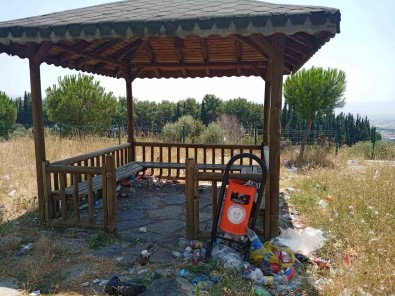 ADÜ'deki Kamelyalar Mikrop Yuvasi Oldu