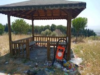 ADÜ'deki Kamelyalar Mikrop Yuvasi Oldu