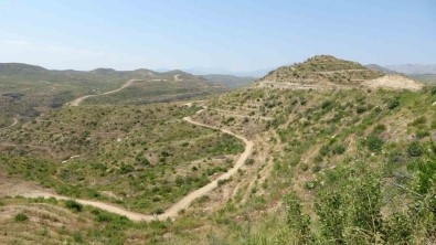 Büyük Yangin Sonrasi Manavgat'ta Dikilen 3,5 Milyon Fidan Yeserdi